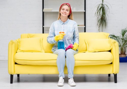 cleaning-woman-sitting-couch_23-2148394948