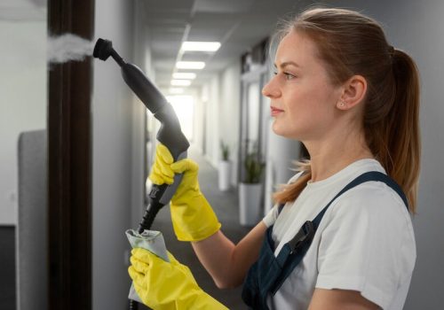 medium-shot-woman-cleaning-indoors_23-2150454547