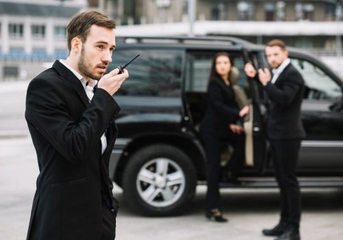 side-view-security-men-working_23-2148404013